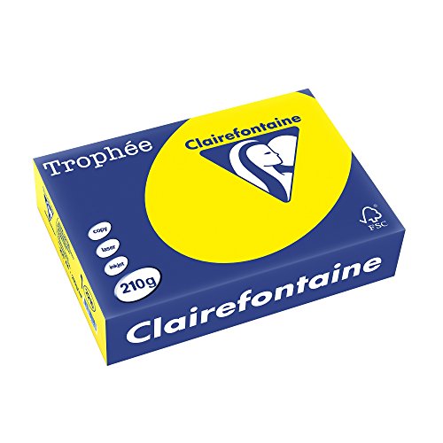 Clairefontaine 2223C - Ries Druckerpapier / Kopierpapier Trophee, intensive Farben, DIN A4, 210g, 250 Blatt, Hellgrün, 1 Ries von Clairefontaine