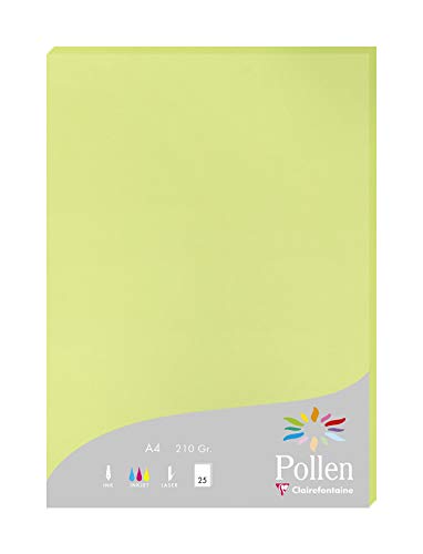 Clairefontaine 224205C Packung mit 25 Karten Pollen 210g, DIN A4, 21 x 29,7cm, Knospengrün von Clairefontaine