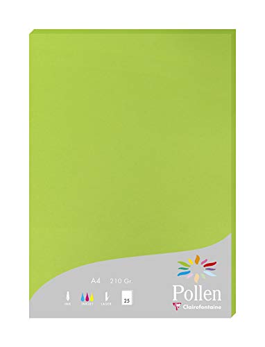 Clairefontaine 24215C Packung mit 25 Karten Pollen 210g, DIN A4, 21 x 29,7cm, Minze von Clairefontaine