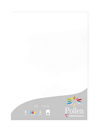 Clairefontaine 24239C Packung mit 25 Karten Pollen 210g, DIN A4, 21 x 29,7cm, Weiss von Clairefontaine