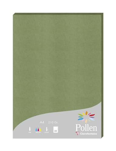 Clairefontaine 24270C - Packung mit 25 Blatt Pollen, DIN A4 210x297 210g/m2, ideal für Ihre Einladungen und Korrespondenz, Salbei, 1 Pack von Clairefontaine