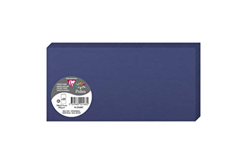 Clairefontaine 2568C Packung mit 25 Doppelkarten, gefaltet, 210g, in Format DL, 106 x 213mm, Königsblau von Clairefontaine