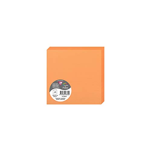 Clairefontaine 2836C Packung (mit 25 Doppelkarten Pollen, Gefaltet, 135 x 135 mm) 210g, clementine von Clairefontaine