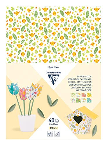 Clairefontaine 354599C - Block Dekor Bastelkarton, 40 Blatt, 25x35cm, 160g, 1 Block, Frühling von Clairefontaine