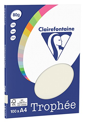 Clairefontaine 4118C - Ries Druckerpapier / Kopierpapier Clairalfa PPP, DIN A4, 80g, 100 Blatt, Grau, 1 Ries von Clairefontaine