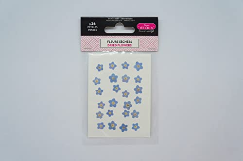 J.Herbin 41315T - Packung mit getrockneten Vergissmeinnichblättern ideal für Wachsprojekte und Scrapbooking, 1 Pack von J.Herbin