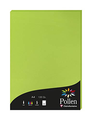 Clairefontaine 4215C Packung mit 50 Karten Pollen 120g, DIN A4, 21 x 29,7cm, Minze von Clairefontaine