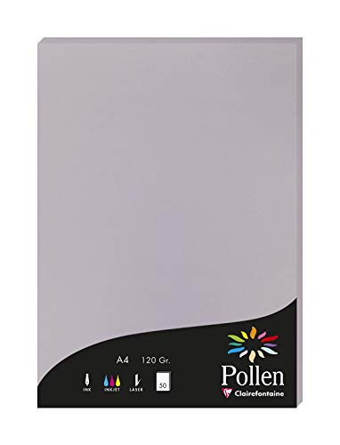 Clairefontaine 4232C Packung mit 50 Karten Pollen 120g, DIN A4, 21 x 29,7cm, Koalagrau von Clairefontaine