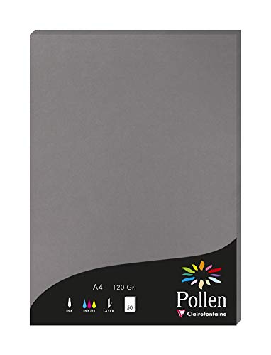 Clairefontaine 4283C Packung mit 50 Karten Pollen 120g, DIN A4, 21 x 29,7cm, Dunkelgrau von Clairefontaine