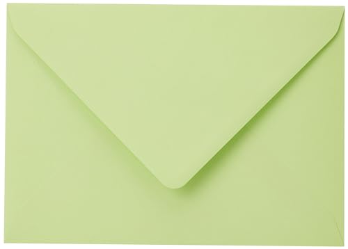 Clairefontaine 555472C - Packung mit 20 Umschläge Pollen gefüttert, Format C5 (16,2x22,9cm), 120g, ideal für Ihre Einladungen und Korrespondenz, Knuspergrün, 1 Pack von Clairefontaine