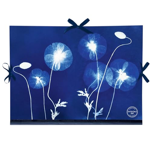 Clairefontaine - 83513C – Ein Zeichenkarton mit Blumendekor/Cyanotype – Verschluss mit 3 Bändern 28 x 38 cm – für A4-Formate und 24 x 32 cm – robust und praktisch – Kollektion Cyanotype von Clairefontaine