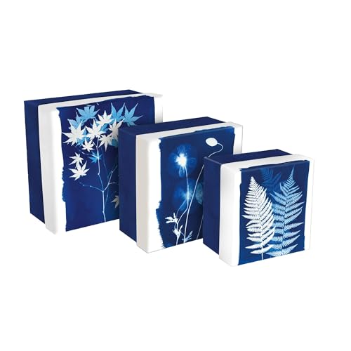 Clairefontaine - 83514C – Ein Set mit 3 multifunktionalen Aufbewahrungsboxen aus Karton, Blumendekor, Cyanotype, 25 x 25 x 12 cm, 20 x 20 x 11 cm und 16 x 16 x 10 cm – Kollektion Cyanotype von Clairefontaine