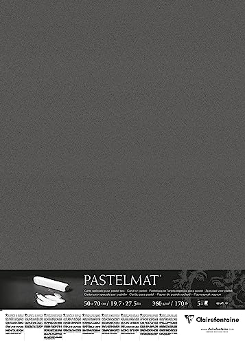 Clairefontaine 96009C Packung (mit 5 Zeichenbögen Pastelmat, 50 x 70 cm, 360 g, ideal für Trockentechniken und Pastell) anthrazit von Clairefontaine