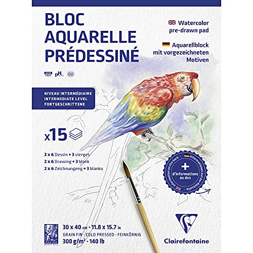 Clairefontaine 975725C - Aquarellblock mit vorgezeichneten Motiven mit 15 Blatt (2 x 6 designs) 30x40 cm 300g, Tiere von Clairefontaine