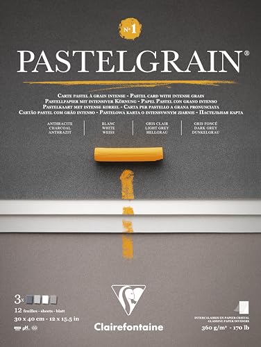 Clairefontaine 976059C Pastelgrain Nr. 1 – 12 Blatt Spezialkarte für trockene Pastellkreide – 30 x 40 cm 360 g – verschiedene Grautöne – Trennblätter aus Kristallpapier von Clairefontaine