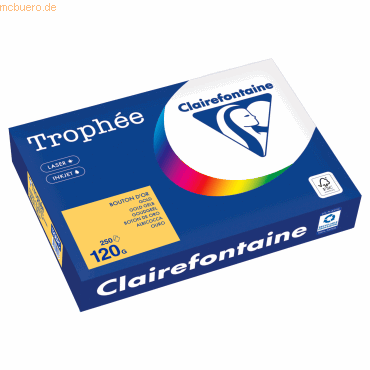Clairefontaine Kopierpapier 1206PC A4 120g goldgelb 250 Blatt Clairefontaine Kopierpapier 1206PC A4 120g goldgelb 250 Blatt von Clairefontaine