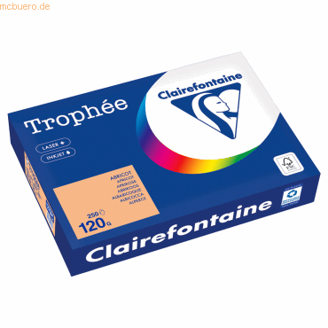 Clairefontaine Kopierpapier 1275PC A4 120g aprikose 250 Blatt Clairefontaine Kopierpapier 1275PC A4 120g aprikose 250 Blatt von Clairefontaine