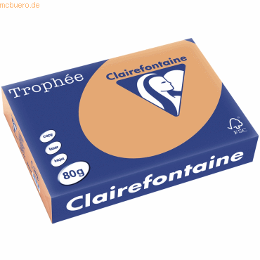 5 x Clairefontaine Kopierpapier Trophee A4 80g/qm VE=500 Blatt camel von Clairefontaine