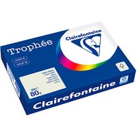 Clairefontaine Kopierpapier Trophée grau DIN A3 80 g/qm 500 Blatt von Clairefontaine