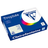 Clairefontaine Kopierpapier Trophée grau DIN A4 80 qm 500 Blatt von Clairefontaine