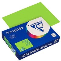 Clairefontaine Kopierpapier Trophée maigrün DIN A4 160 qm 250 Blatt von Clairefontaine