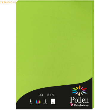 10 x Clairefontaine Papier Pollen A4 120g 50 Blatt minze von Clairefontaine