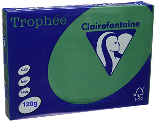 Clairefontaine Trophee Papier Tannengrün 120g/1224C A4 120 g Inh.250 von Clairefontaine