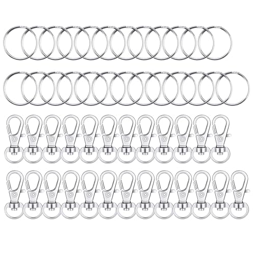 Cleminsta 25 Schlüsselring Klein+ 25 Karabinerhaken mit Drehgelenk, Schlüsselringe 25mm Edelstahl Klein Karabiner Schlüsselanhänger Basteln Set für DIY Schmuck Handwerk Selber Machen (Silber) von Cleminsta