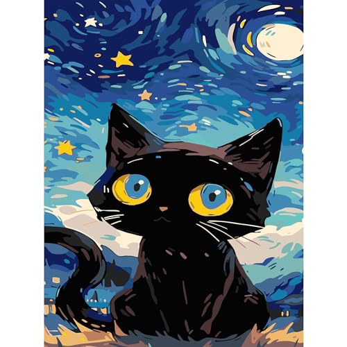 Malen Nach Zahlen Erwachsene Schwarze Katze,Bastelset Erwachsene Gemälde Sternenhimmel,Kreativ Set für Erwachsene,DIY Handgemalt Ölgemälde Kit für Anfänger und Erwachsene für Geschenke 30X40cm von Clendo