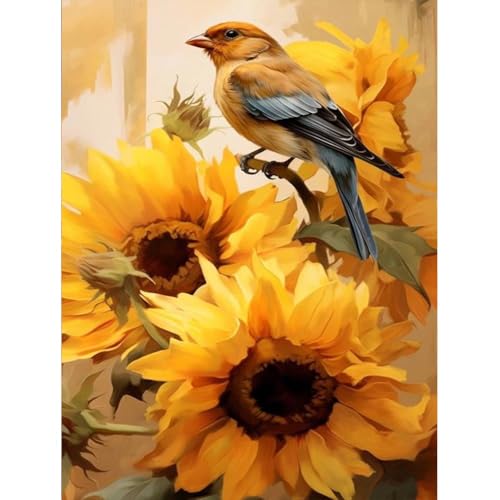 Malen Nach Zahlen Erwachsene Vögel,Bastelset Erwachsene Gemälde Leinwand Sonnenblume,DIY Set Erwachsene,Handgemalt Ölgemälde Kit für Anfänger und Erwachsene für Wand Dekorieren 30X40cm von Clendo