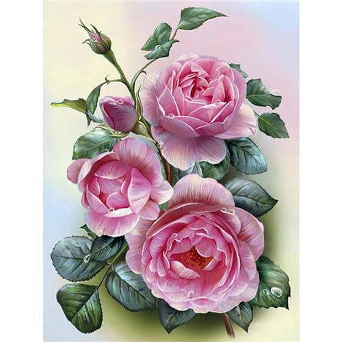 Clldy Diamond Painting erwachsene, DIY Diamond Painting Blumenmuster 5D Diamant Painting Bilder Kinder, Full Round Diamant Kunst Malerei Stickerei Set Kreuzstich Bilder Home Wand Dekor 30x40cm A232 von Clldy