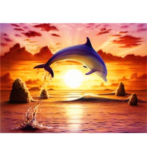 Diamond Painting Delfin bei Sonnenuntergang, DIY 5D voller Round Diamant Painting Bilder Mosaikherstellung Cross Stickerei Malerei Kits Erwachsene für Geschenk Zuhause Wanddekoration 30x40cm A303 von Clldy