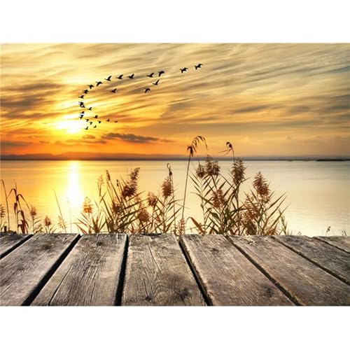 Diamond Painting erwachsene, DIY Diamond Painting Sonnenuntergang am Meer 5D Diamant Painting Bilder Kinder, Full Round Diamant Kunst Malerei Stickerei Set Kreuzstich Home Wand Dekor 50x70cm A184 von Clldy