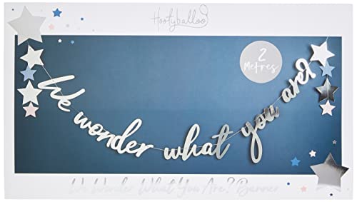 Club Green Wonder What You Are Banner, Silber, 18,7 x 0,3 x 29,5 cm von Club Green