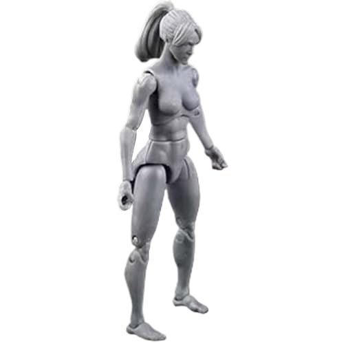 Leere Actionfigur Actionfigur Körper, 4,1 -Zoll -PVC -Blank -Action -Figur, DIY -Poable -Figur, Sammlerbetragszeichnung Zeichnung Figur für Ausstellung, Spiel, Modellierung, Szenenspiel, Grau/Weibche von Cndiyald