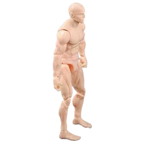 Leere Actionfigur Actionfigur Körper, 4,1 -Zoll -PVC -Blind -Action -Figur, DIY -Poable -Figur, Sammlerbetragszeichnung Zeichnung Figur für Ausstellung, Spiel, Modellierung, Szenespiel, Hautfarbe/Män von Cndiyald