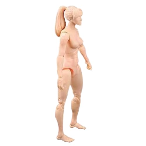 Leere Actionfigur Actionfigur Körper, 4,1 Zoll PVC Blind -Aktion -Figur, DIY -Poable -Figur, Sammelmalbare Zeichnungsfigur für Ausstellung, Spiel, Modellierung, Szenenspiel, Hautfarbe/Weibchen von Cndiyald