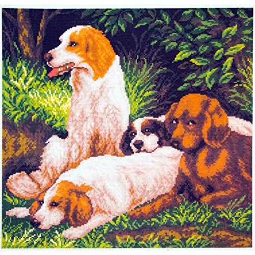 Collection D'Art Hunde ruhen Sich aus Bedrucktes Aida für Kreuzstickerei, Baumwolle, Mehrfarbig, 34x34cm von RTO