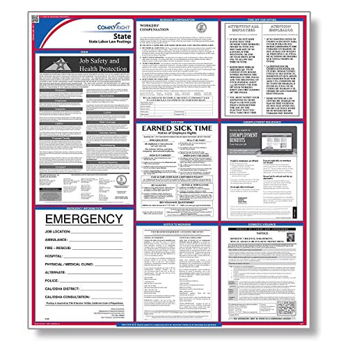 ComplyRight E10GAS Poster, Georgien, Spanisch von ComplyRight