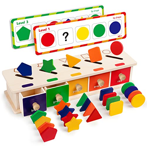 Coogam Montessori Spielzeug Holz Farbform Sortierbox Spiel Geometrisch passenden Blöcke Frühes Lernspielzeug Geschenk für 3 4 5-jährige Kinder von Coogam