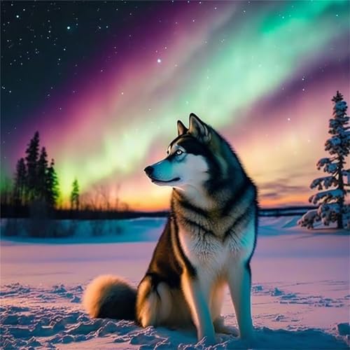 5D Diamond Painting Erwachsene Aurora-Husky Diamant Painting Bilder DIY Full Square Diamant Art Painting Kits,Verschneite Landschaft Diamant Malerei Stickerei Kreuzstich Bilder Home Wand Dekor 70x70cm von Cooiiye