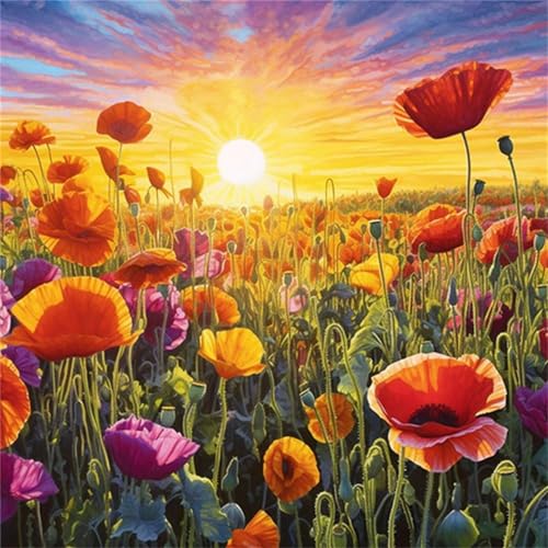 Cooiiye 5D Diamond Painting Mohnfeld,DIY Sonnenuntergang Diamant Painting Bilder für Erwachsene Anfänger,Voll Round Stickerei Diamant Kunst Malerei Set für Home Wand Décor 70x70cm von Cooiiye