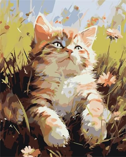 Cooiiye Malen nach Zahlen Erwachsene DIY Blumen Katze Handgemalt Ölgemälde Kit für Anfänger mit Pinseln und Acrylfarben Paint by Numbers für Home Décor Geschenk,rahmenlos 30x40cm von Cooiiye