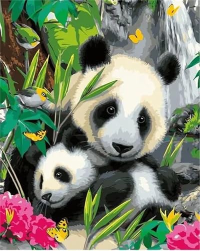 Cooiiye Malen nach Zahlen Erwachsene DIY Malerische Pandas Handgemalt Ölgemälde Kit für Anfänger mit Pinseln und Acrylfarben Paint by Numbers für Home Décor Geschenk,rahmenlos 40x50cm von Cooiiye