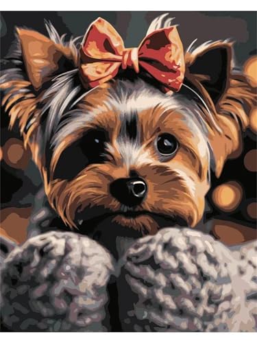 Cooiiye Malen nach Zahlen Erwachsene DIY Süßer Yorkshire Terrier Handgemalt Ölgemälde Kit für Anfänger mit Pinseln und Acrylfarben Paint by Numbers für Home Décor Geschenk,rahmenlos 30x40cm von Cooiiye