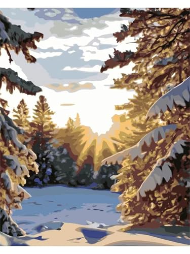 Cooiiye Malen nach Zahlen Erwachsene DIY Winter Wald Sonnenschein Handgemalt Ölgemälde Kit für Anfänger mit Pinseln und Acrylfarben Paint by Numbers für Home Décor Geschenk,rahmenlos 40x50cm von Cooiiye