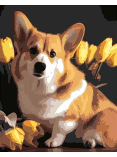 Malen nach Zahlen Erwachsene DIY Corgi-Blumen Handgemalt Ölgemälde Kit für Anfänger mit Pinseln und Acrylfarben Paint by Numbers für Home Décor Geschenk,Ohne Rahmen 30x40cm von Cooiiye