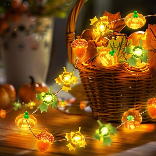 Coquimbo Herbst Dekoration LED Lichterkette, 3M 30LED Kürbis Ahornblatt Eichel Lichterkette Innen und Außen, Batteriebetrie Herbst Dekoration für Erntedankfest Halloween Party von Coquimbo