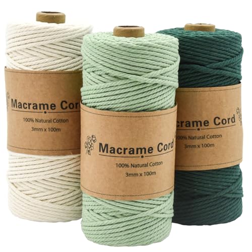 Coriver 3 Stück Makramee Garn, 3mm x 100m Macrame Cord, Makramee Schnur Grün, Makrameegarn Kordel, Makramee Starter Set für DIY Handwerk Weben Dekoration Hängepflanze Pflanze Aufhänger von Coriver