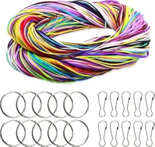 Cozlly 200 Stück Plastik Bänder Set 20 Farben Gitzer Plastik Saiten DIY Kunststoff Schnürung Cord mit 10Pcs Schlüsselring und 10Pcs Haken für Schmuckherstellung, Armband von Cozlly